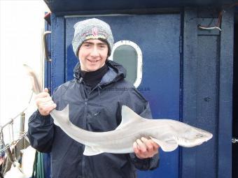 12 lb Smooth-hound by Unknown