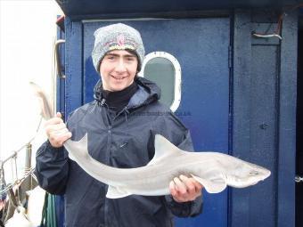 12 lb Smooth-hound (Common) by Unknown