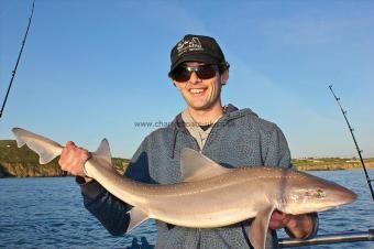 12 lb Starry Smooth-hound by Dave