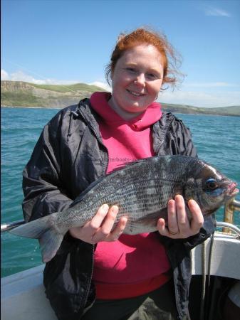 3 lb 8 oz Black Sea Bream by Ians party