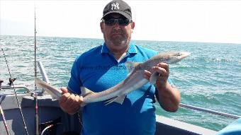 4 lb Smooth-hound (Common) by Peter