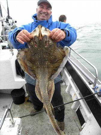 15 lb Undulate Ray by Unknown