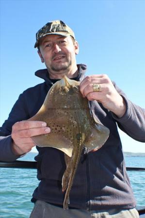 1 lb 8 oz Spotted Ray by Kev