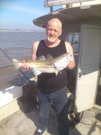 7 lb Cod by terry hegarty