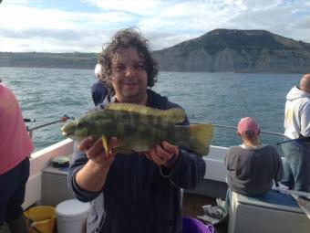 3 lb Ballan Wrasse by Darren Herbert