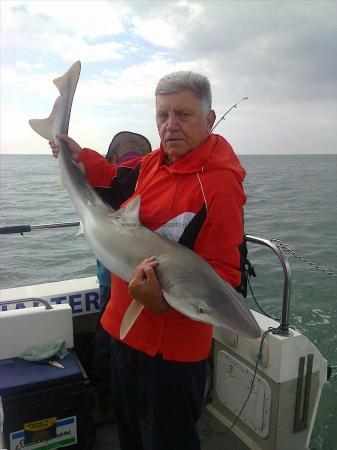 33 lb Tope by Andy Truelove