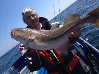 17 lb Cod by Unknown