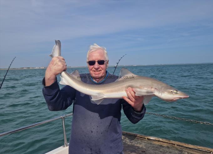 9 lb 8 oz Smooth-hound by Graham from Faversham