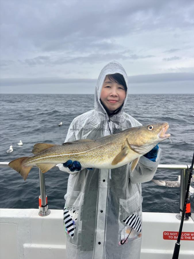 7 lb 12 oz Cod by So Yee