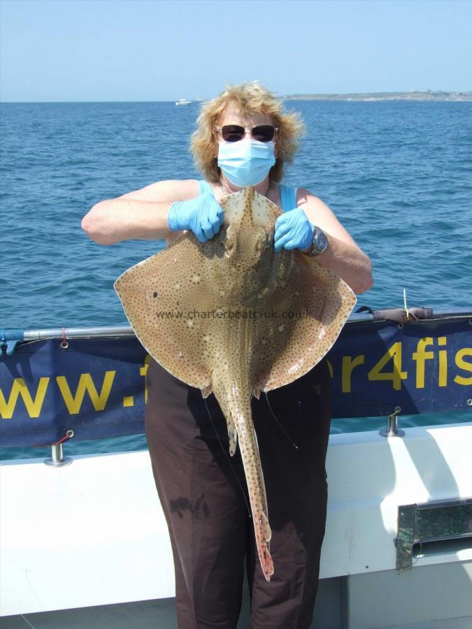 10 lb Blonde Ray by Denise Youngs