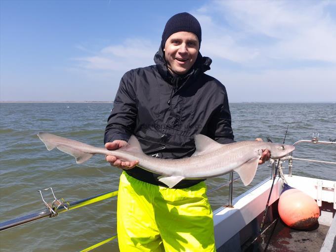 7 lb 8 oz Smooth-hound (Common) by Bob Marshall