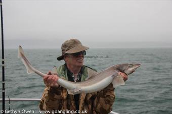 14 lb Starry Smooth-hound by Peter