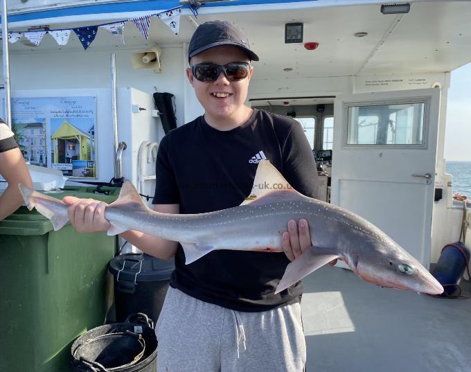 8 lb Smooth-hound (Common) by Unknown