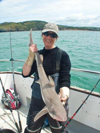 12 lb Starry Smooth-hound by Annie