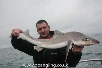 9 lb Starry Smooth-hound by Sam