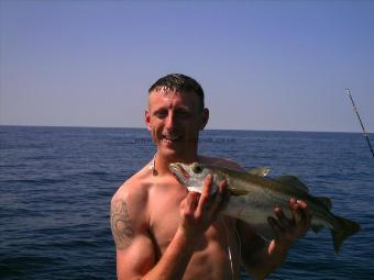 4 lb 5 oz Pollock by Ginge