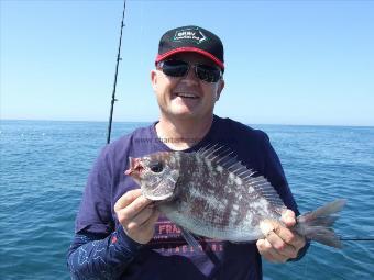 3 lb Black Sea Bream by Unknown