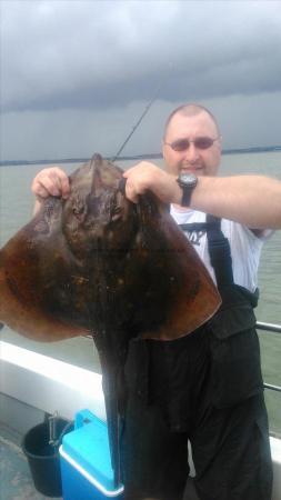 13 lb Blonde Ray by harvey