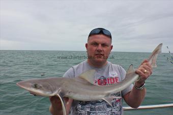 9 lb Starry Smooth-hound by Clive