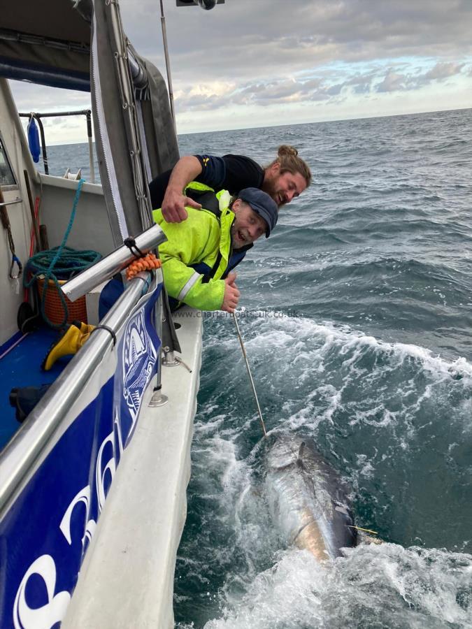 1 Kg Bluefin Tuna by Unknown