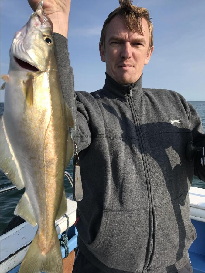 5 lb Pollock by Leo from hull ,a pollock wrecking 23/8/2018