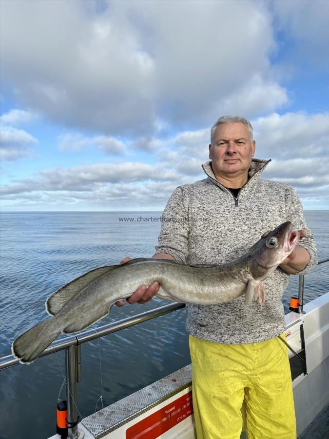 8 lb Ling by Andy Thornton