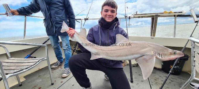 19 lb 5 oz Starry Smooth-hound by Zack ( 14 years old ) first time sea Angling