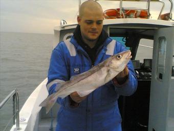 3 lb 12 oz Haddock by Unknown