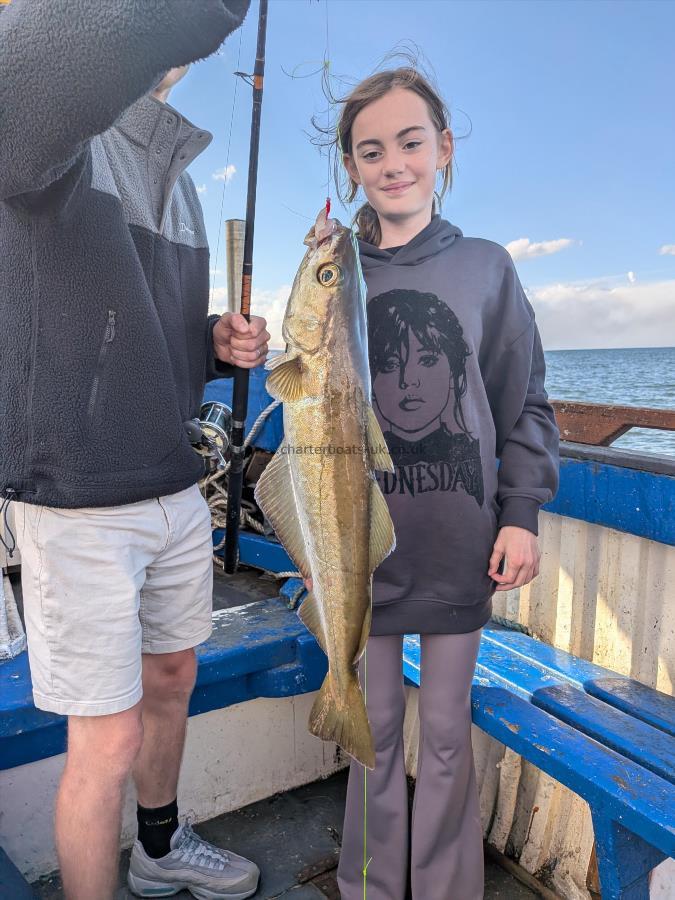 4 lb 2 oz Pollock by Unknown