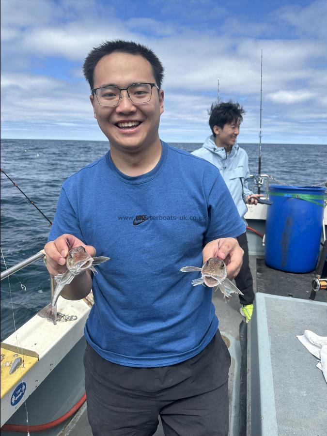 4 oz Grey Gurnard by Jianhui