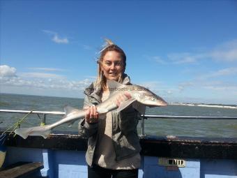 5 lb 6 oz Starry Smooth-hound by Jess