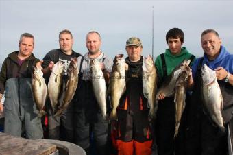 1 Kg Pollock by Jeff Tovey Group