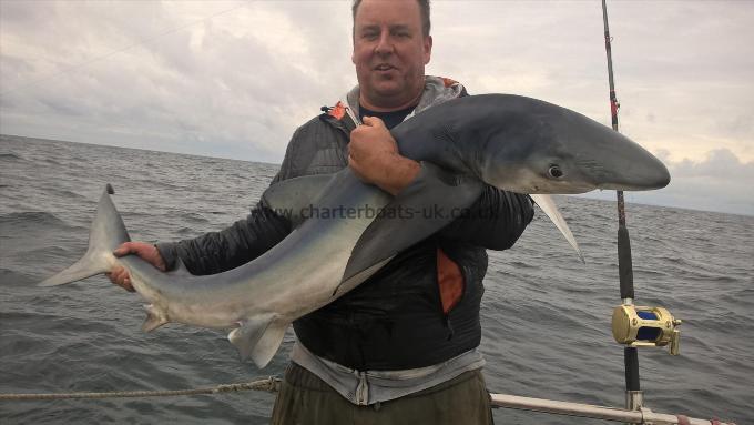 50 lb 3 oz Blue Shark by Robbie