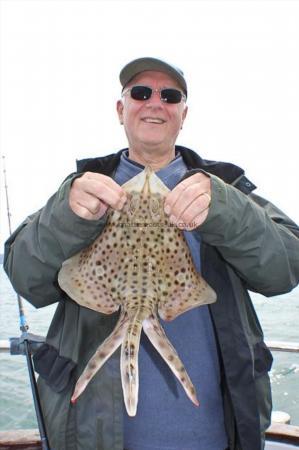2 lb 8 oz Spotted Ray by Mike