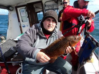 4 lb Ballan Wrasse by Luke Rees