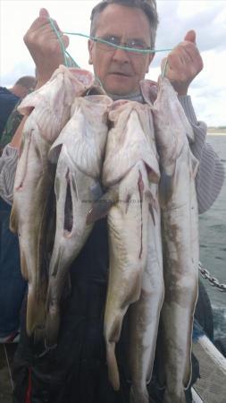 10 lb 3 oz Ling by bob urry from hull