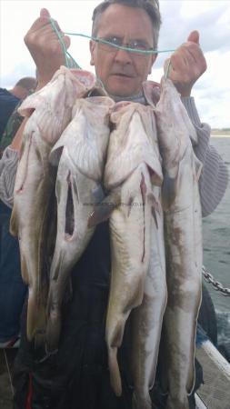 10 lb 3 oz Ling (Common) by bob urry from hull