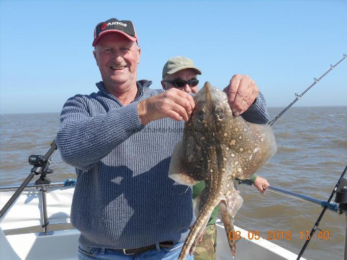 4 lb Thornback Ray by Chris merrison