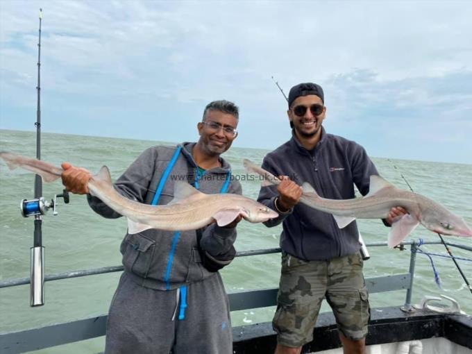 11 lb Smooth-hound (Common) by Unknown