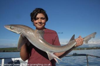 10 lb Starry Smooth-hound by Josh