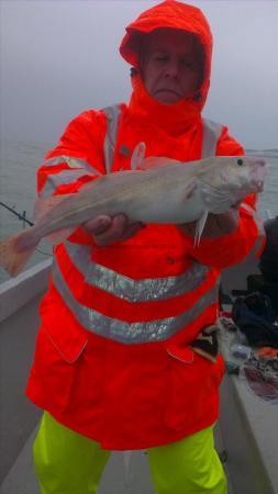 3 lb Cod by stan