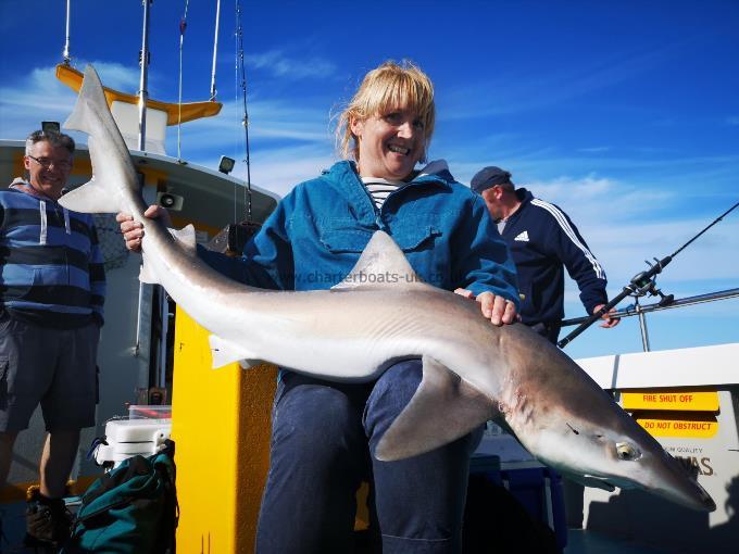 37 lb 2 oz Tope by Unknown