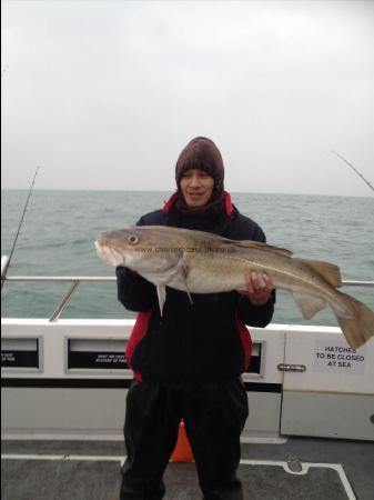 17 lb Cod by Unknown