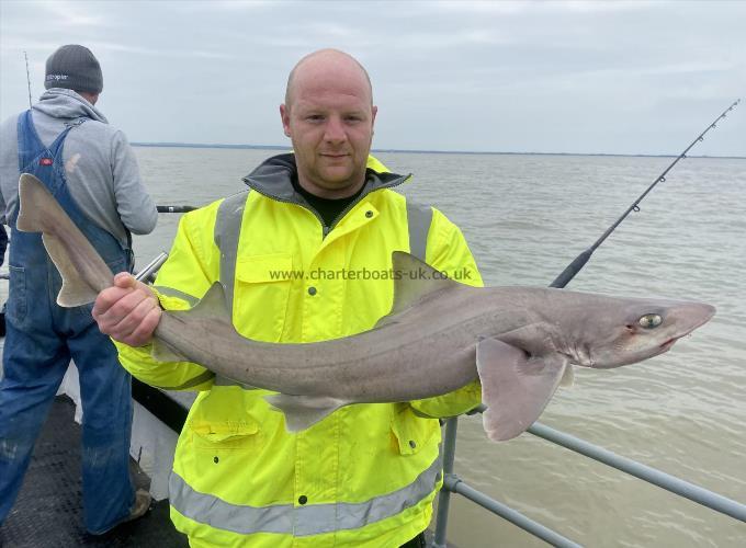 12 lb Smooth-hound (Common) by Unknown