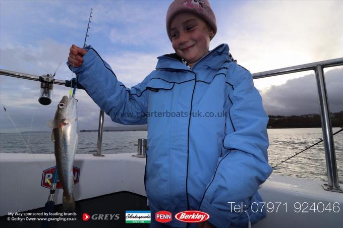 1 lb Whiting by Emily
