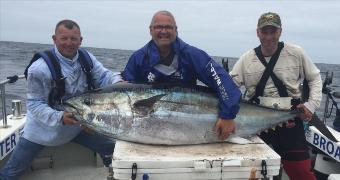300 lb Bluefin Tuna by David Price