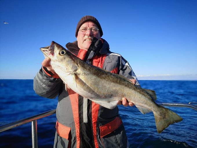 7 lb 8 oz Pollock by Dave Ball