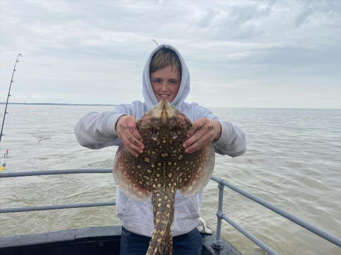 5 lb Thornback Ray by Unknown