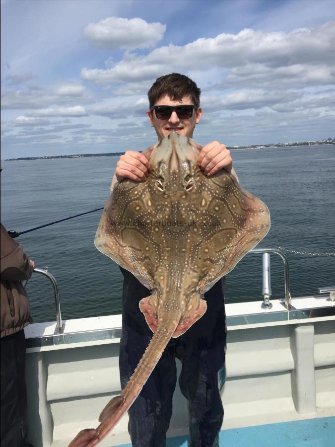 14 lb 12 oz Undulate Ray by Toby