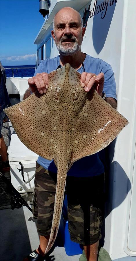 6 lb Blonde Ray by Steve